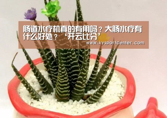 肠道水疗机真的有用吗?大肠水疗有什么好处?‘开云比分’(图3) 开云体育官方入口