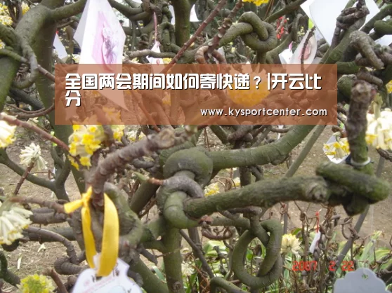 开云体育赛事