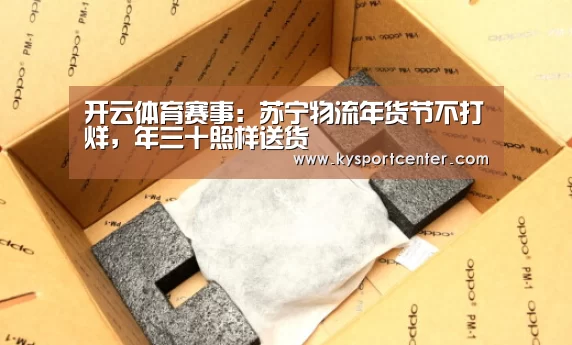 开云体育赛事:苏宁物流年货节不打烊,年三十照样送货(图1) KAIYUN首页