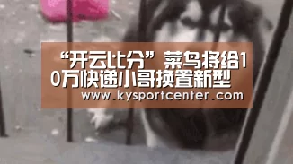 开云比分